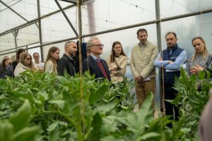 Legumicultorii din Republica Moldova vor beneficia de sprijin din partea FAO și Elveției pentru a-și adapta tehnologiile de producere și a accesa noi piețe