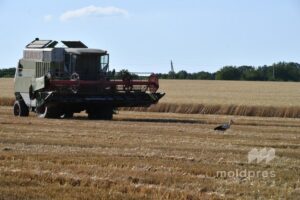Subvenții de circa 10 milioane de lei pentru agricultori, autorizate spre plată în ultima săptămână